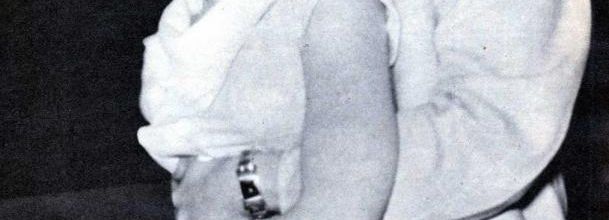 photo elvis -kay wheeler 