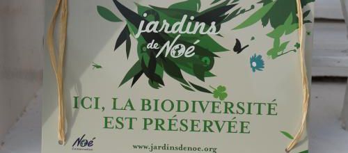 Jardin de Noé