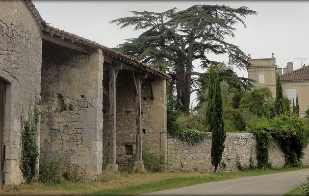 Saint Jacques 2015, de Castelnau/l'Auvignon à Larressingle: 20 Km #1