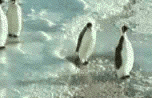 Un gif qui colonise(ra) le monde... ! o/
