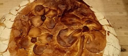 Des fleurs ,pas qu'au jardin!