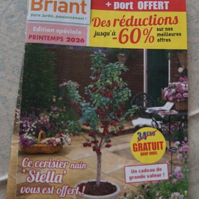 C'est le bon moment pour...