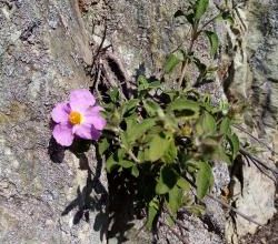Que sont nos amis(es) devenus(es )?