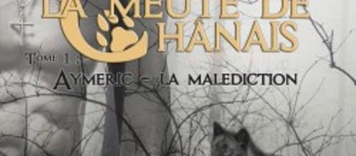 Mes avis sur "La meute de Chânais", d'Ysaline Fearfol, tomes 1 et 2 : un très bon début de saga fantastique pimentée d'érotisme 