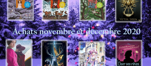 Achat novembre et décembre 2020