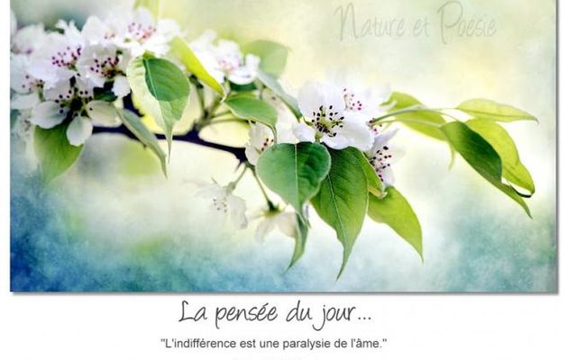 L'indifférence.....
