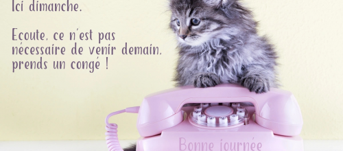 Pourquoi faire simple ?