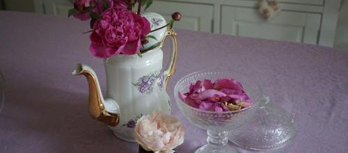 Pivoines et bon dimanche