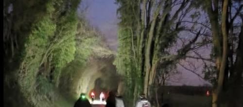 Belle sortie nocturne ... 