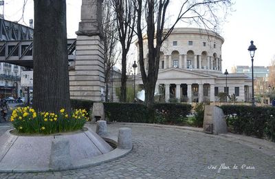 Le tilleul de la Libération, Place de la Bataille de Stalingrad - Paris 19e