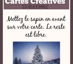 Passion Cartes Créatives#517 !