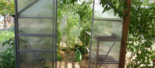Le potager 