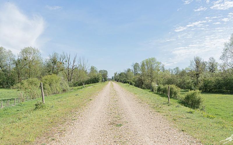 Confluence (2 et fin)