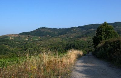 Mercredi 24 juillet, de Cacabelos à Villafranca del Bierzo
