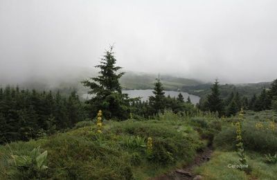 Auvergne 2024 : 3- le massif du Sancy