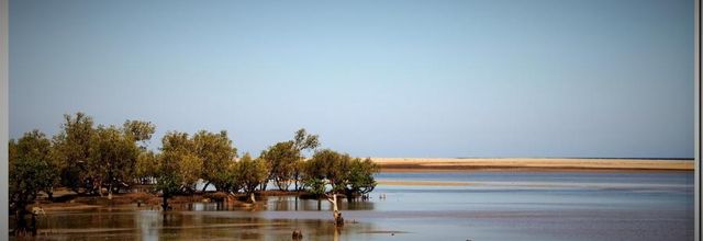 Bord de mer a IFATY  --- Madagascar
