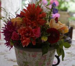Roses et Dahlias