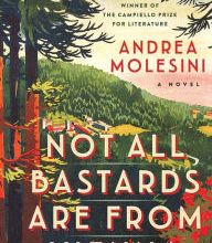 [Pdf/ePub] Not all Bastards are from Vienna: A Novel by Andrea Molesini download ebook