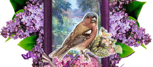 Oiseaux