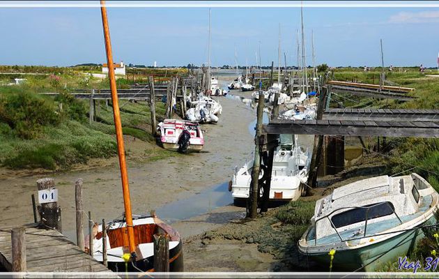 Le petit port du Goisil à marée basse - La Couarde-sur-Mer - Île de Ré - 17