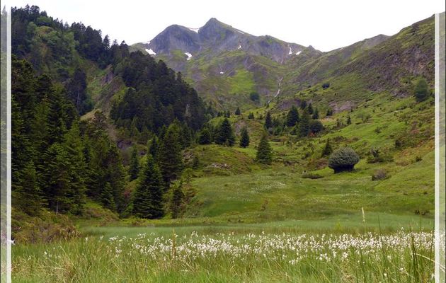 Pic de Pièle de Mil (2128 m) - Randonnée "Chapelle de l'Isard" - Sentein - 09
