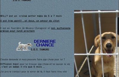 Animaux en détresse