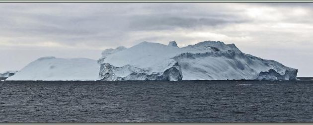 20 août 2016 : Dans la lumière blafarde du petit matin, au large, toujours des icebergs - Kullorsuaq - Upernavik - Groenland