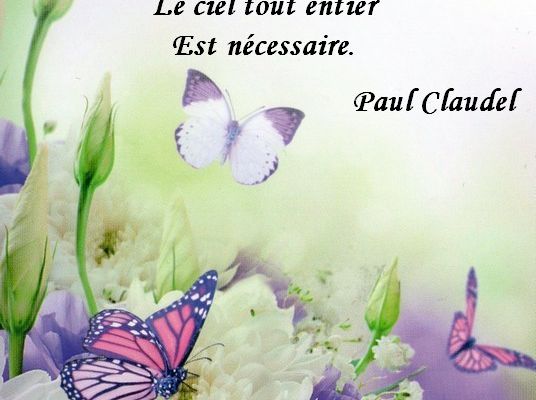 Citations en images Envol