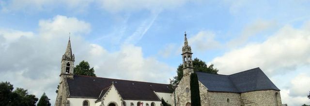 portrait d'un minou ! 