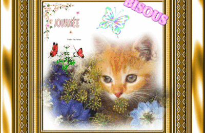 CADRE CHAT