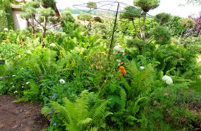 Le Jardin de la Paix 2020/ 2