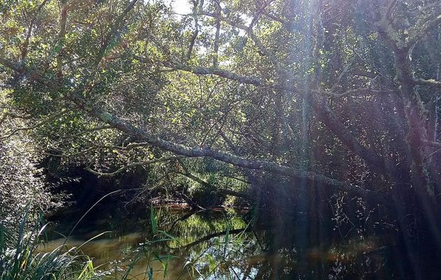 défi reflets d'Annie N°11