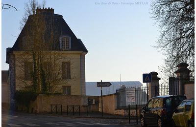 Rambouillet : Un soir d'hiver