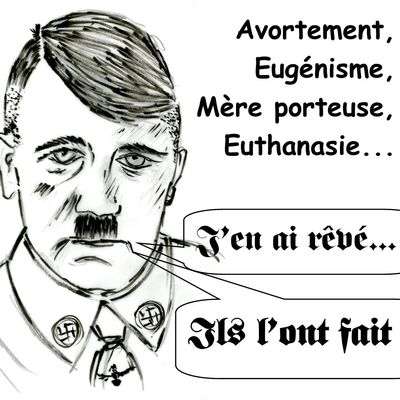 2025 : Loi sur l'euthanasie en France 