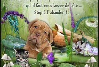 Non à l'abandon .