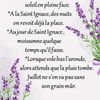 Dicton et Fête du jour Ignace + grille prénom  !