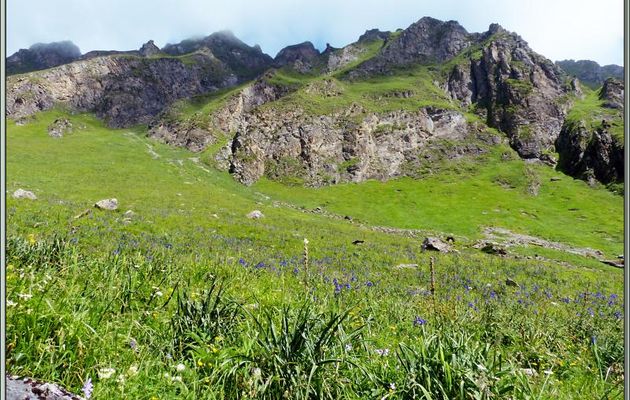 Crête des Six Pics avec les iris fleurissant sur la pelouse située à son pied - Vallon d'Esquierry - Oô - 31