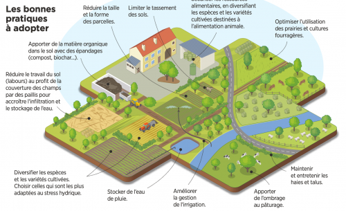 L'agriculture devra s'adapter au climat