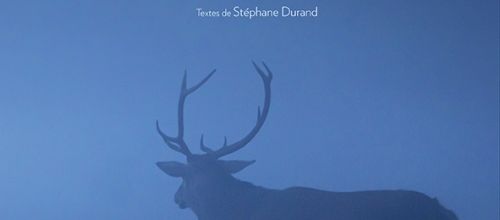 Les saisons, le nouveau film de Jacques Perrin