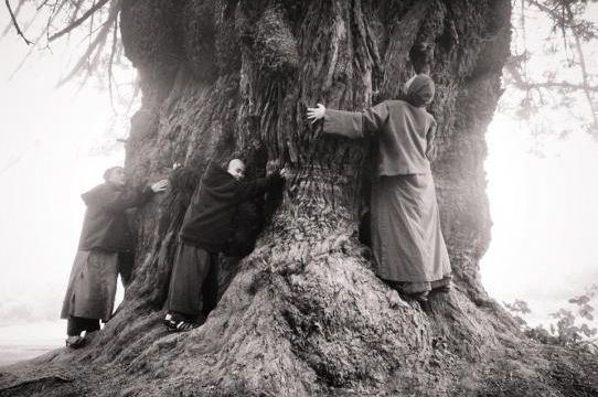 Les touchers de la terre