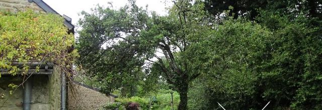 Portes ouvertes au domaine de Kerivaut Pluvigner Morbihan - Le verger