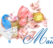 signatureanimee,oiseau bleu