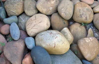 Bouts de rien : comment j'ai tenté l'agrèg à un point 