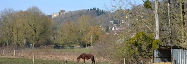 Parc naturel régional de la Vallée de Chevreuse : Le meilleur ami de l'homme 2