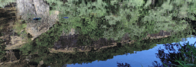 Reflets en gif