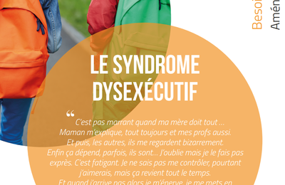 SYNDROME DYSEXÉCUTIF : Grand dossier de la FW-B.BE (16 p.)