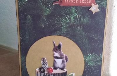 Dernières cartes de la saison....