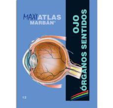 Descargar ebook para celular OJO: ORGANOS DE LOS SENTIDOS (MAXI ATLAS 12) 9788417184162 (Literatura española) de 