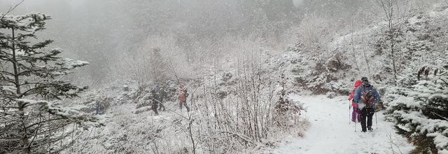 CR de la rando vendredi petite journée 14 mars 2025: Semnoz chalet de Bénévent