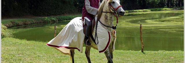 Commequiers (85) - Fête Médiévale 2014 (2)